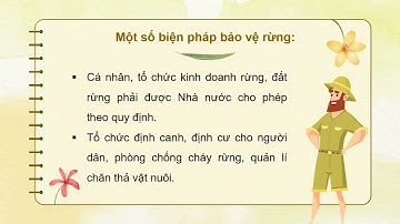 Giáo án powerpoint Bài 7: Bảo vệ rừng | GA điện tử công nghệ 7 cánh diều
