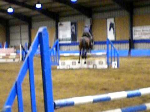 Guy Cavalier XX Lady Caroline Horse jumping Woodla...