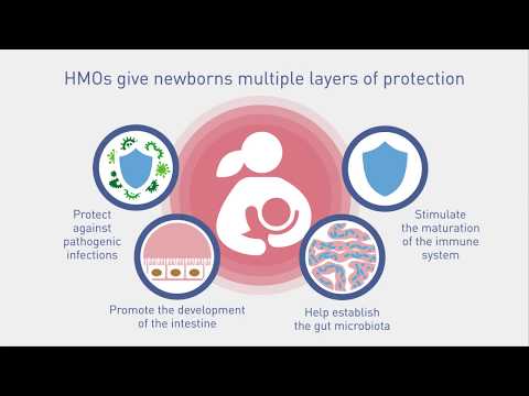 The Benefits of Human Milk Oligosaccharides (HMO) on Immunity