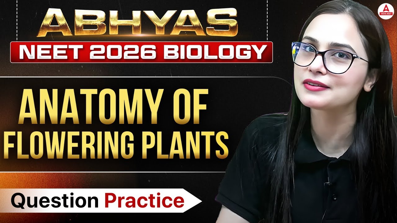 NEET 2026 Biology | Anatomy of Flowering Plants | ABHYAS YT Series - Question Practice | Gargi Mam
