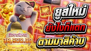 Lucky Neko : เว็บตรงไม่ผ่านเอเย่นต์ เว็บสล็อตเว็บตรง สล็อตแตกง่าย แมวpg ล่าสุด