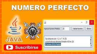 Celebrity Numero Perfecto NetBeans Profile