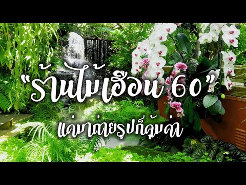 พาเที่ยว "ร้านไม้เฮือน60" แม่ริมเชียงใหม่