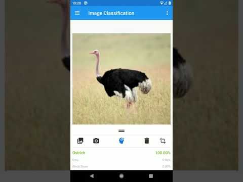 Android Classification App