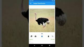 Android Classification App