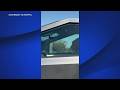 Video shows driver possibly asleep behind wheel of Tesla Cybertruck in Marin Co.