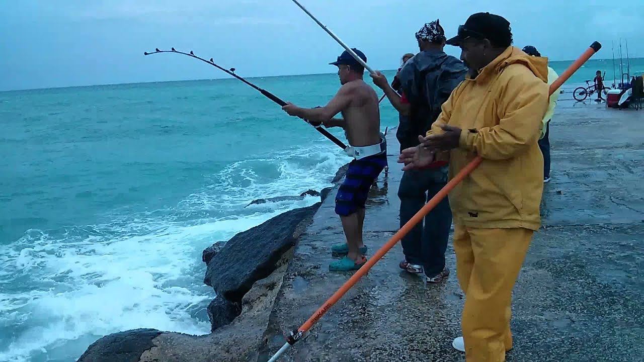 Pesca de tiburon en Bal Harbour Fl. - YouTube