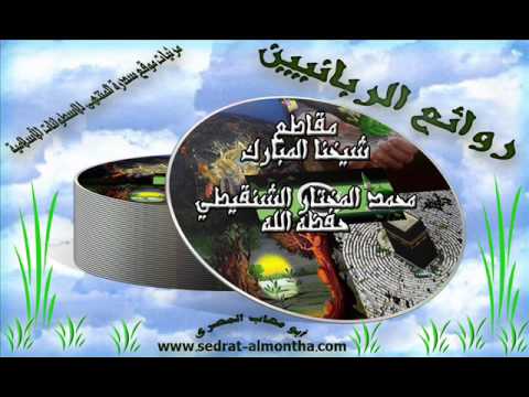 أحاديث حول فضل الإمامة على الآذان الشيخ الشنقيطي