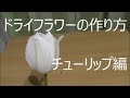 ドライフラワーの作り方　　チューリップはドライフラワーになる？ならない？