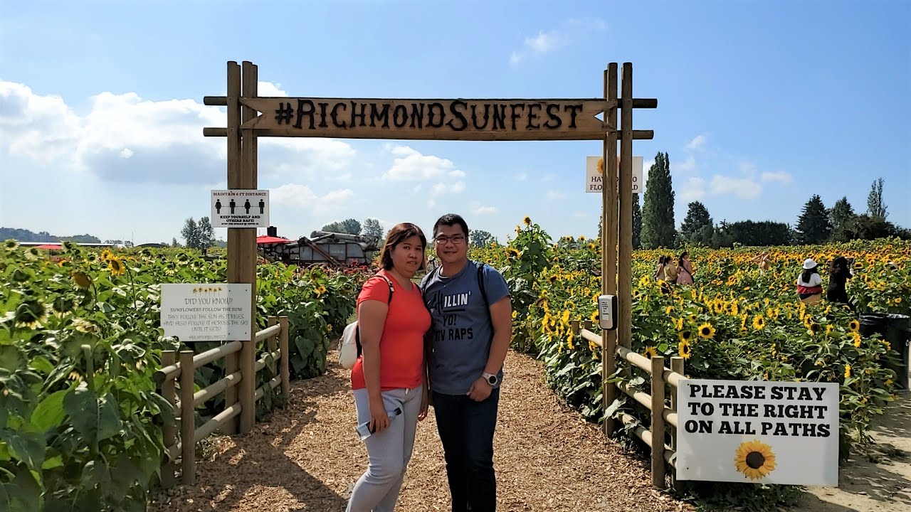 RICHMOND SUNFLOWER FESTIVAL2020 YouTube