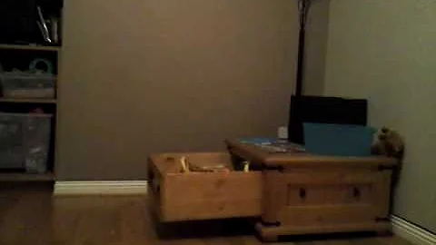 The jack show