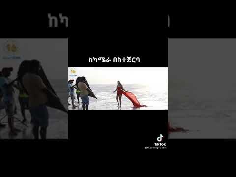 ቪዲዮ: ቢራቢሮ እንዴት እንደሚሳል