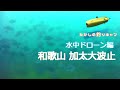水中ドローン編 和歌山加太大波止 (1月） 関西屈指の人気ポイントは冬でも賑やかでした！