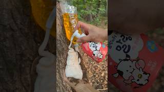 Survival SkillsWaterSIMPLE and USEFUL save SOAP in #camping #outdoors #survival #skills