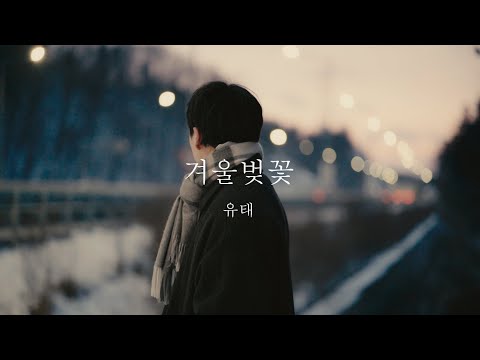 [Official] 유태(Yutae) - 겨울벚꽃(Winter blossom)