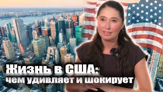 Отвечаю на вопросы. О сравнении жизни в США и России, об обществе и взглядах людей на жизнь.