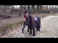 Shetland pony bloopers: Bento en Aniek