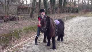 Shetland pony bloopers: Bento en Aniek