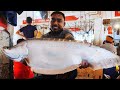 12kg Giant Clown Knife Fish Cutting By Expert Fish Cutter | Chital Fish Cutting Skills