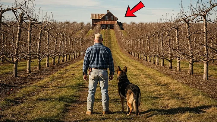 Veteran Mocked For Inheriting a Rotten Orchard — Until the Dog Found a $400M Secret