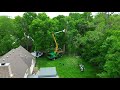 Truelove Services - Dual Tree Trimming