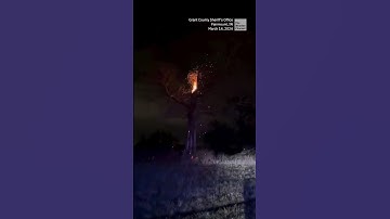 Tree shoots sparks after lightning strike