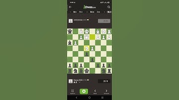 "One Wrong Move... and It Was All Over!" #chess #lifeunscripted #travel #theothersideofmakebelieve