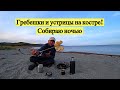 Гребешки и устрицы на костре! Собираю ночью!