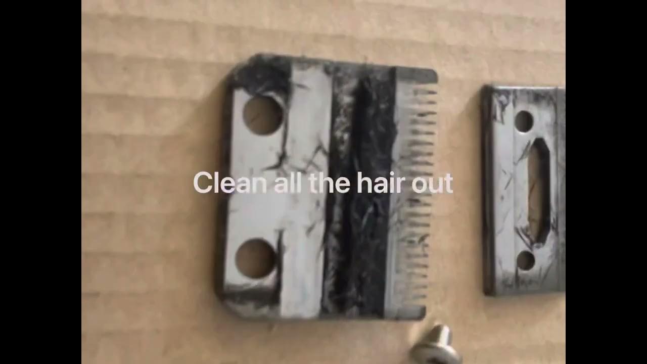 How to replace wahl clipper blades YouTube