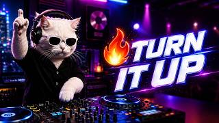 Electro House 2026 🔥 DJ Cat Festival Mix | High Energy EDM & Bass Boosted Music screenshot 4