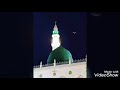 مدحه بلوالو لالله الا الله كلمات الشيخ النور ابوشمال اداء ابوبكر مصطفى