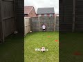 Ball Striking Technique Age 3
