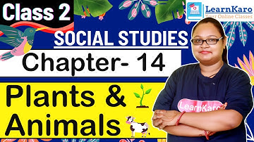 Plants and Animals | Chapter- 14 | Social Studies | Class 2 | CBSE Pattern | Adventuring Beyond