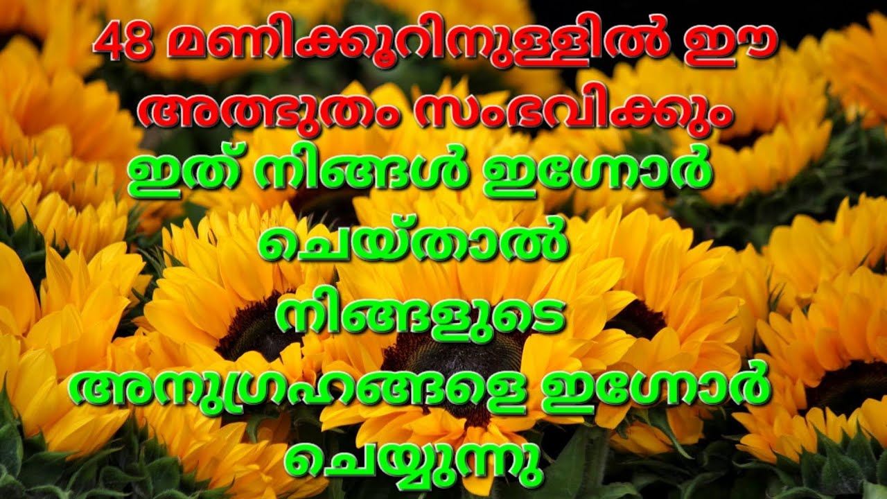 ✨🧿♦️48 മണിക്കൂറിനുള്ളിൽ നിങ്ങളുടെ ജീവിതത്തിൽ സംഭവിക്കുന്നത്#tarot #manifestation#affirmations #love