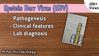 Epstein Barr Virus (EBV) | Pathogenesis | Clinical features | Lab diagnosis