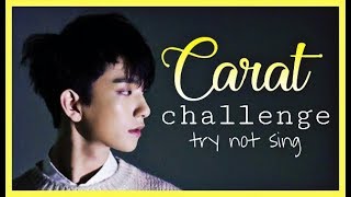 CARAT CHALLENGE Intenta No Cantar/Try Not Sing Alone SEVENTEEN  EDITION