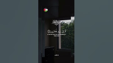 ✨️ اللهم رحمتك ارجو ! 🇵🇸🍉#قرآن #اكسبلور #تلاوة_خاشعة #islamic #المصحف #فلسطين #غزة