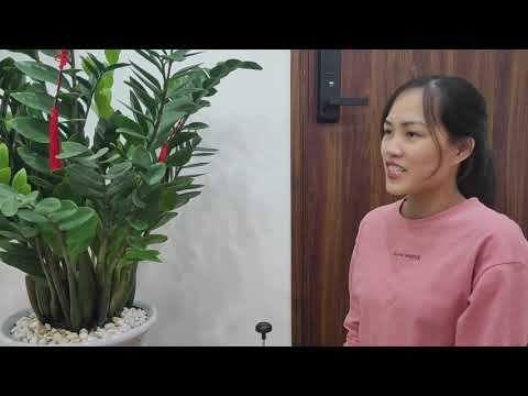 Video: Cách Tưới Cây Kim Tiền? Thường Xuyên Tưới Nước Cho Bà Béo Mùa Thu đông Tại Nhà Như Thế Nào?