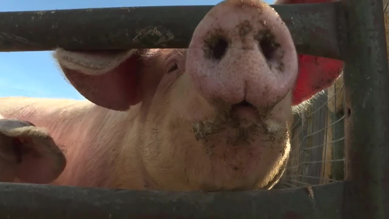 Property taxes on ag land up 125 since 2008; a Nebraska farmer's