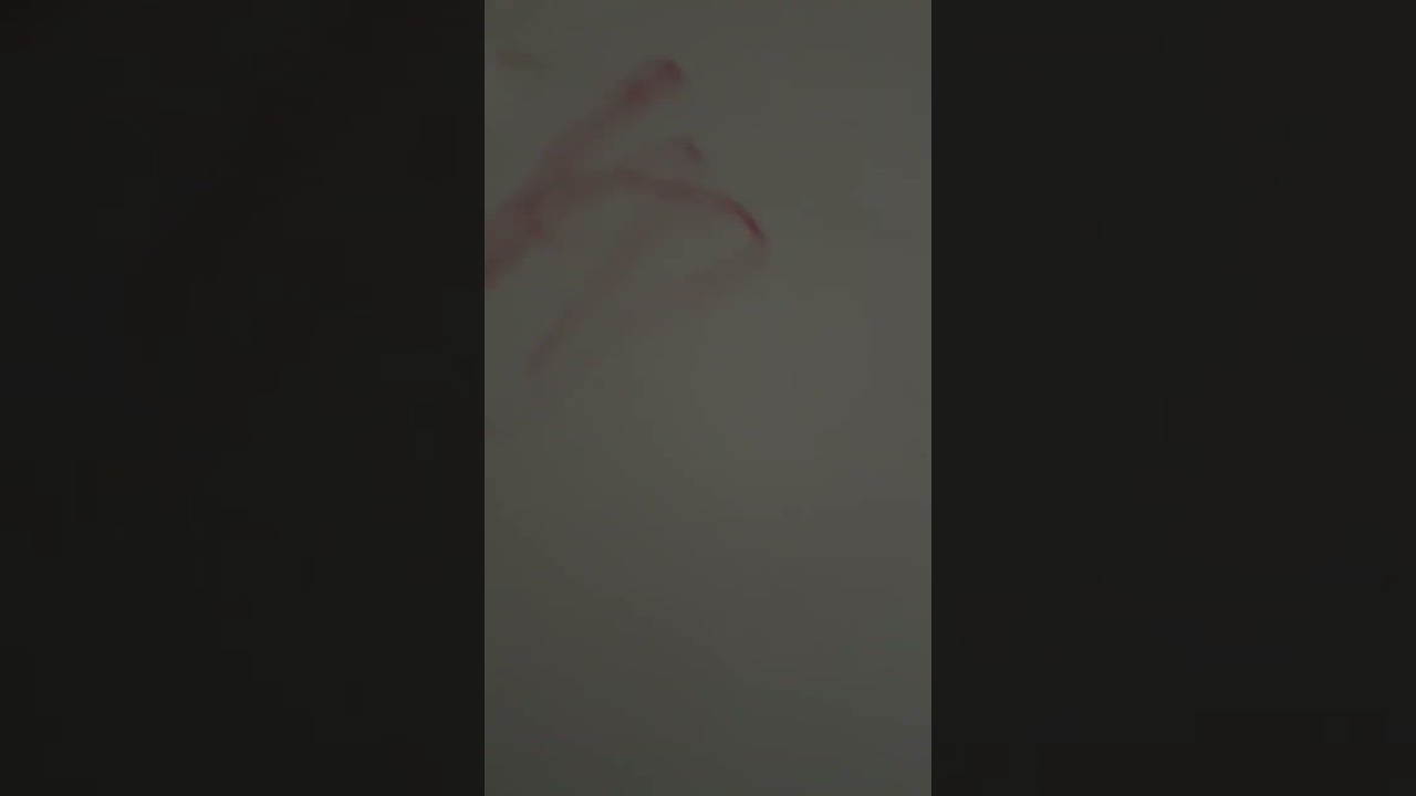 4 year olds priceless reaction as he walks a value add investment property