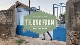 Profil Tilong Farm