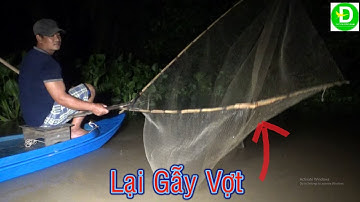 489  Xúc Cá Dạ Nước Ban Đêm Về Nấu Cháo - Cá Dạ Nước | Đất Phương Nam