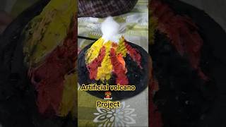 Project With Waste Material Work Work