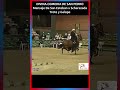 DIVINA COMEDIA DE SAN PEDRO TROTEYGALOPE 2015 #troteygalope #horse #yeguas