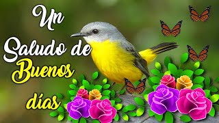 Un Hermoso Saludito de Buenos Dias - Abrelo El Mensaje Mas Bonito Para Ti