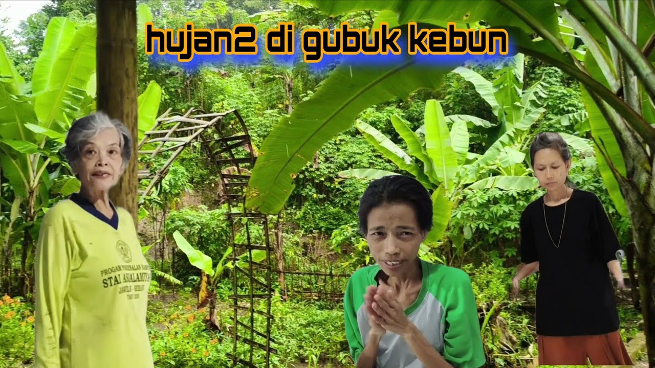 Sejuk dan nyaman hujan2 di kebun  #egoadriano #berkebun #petualanganalamdesaku #pedulikemanusiaan 