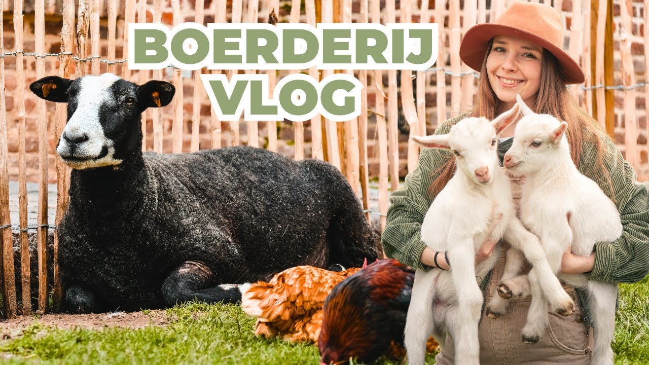 Mijn verzorgroutine met +150 dieren | Dierenopvang Lamana