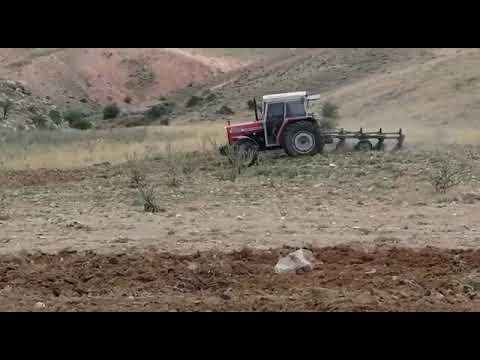 MASSEY FERGUSON 286G 4x4