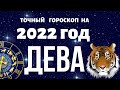 Дева - гороскоп на 2022 год. Что ждет Деву в 2022 год Тигра