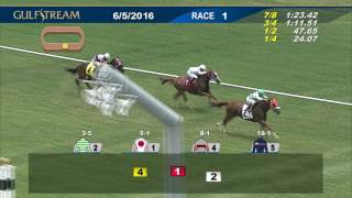 Gulfstream Park Race 1 | June 5, 2016